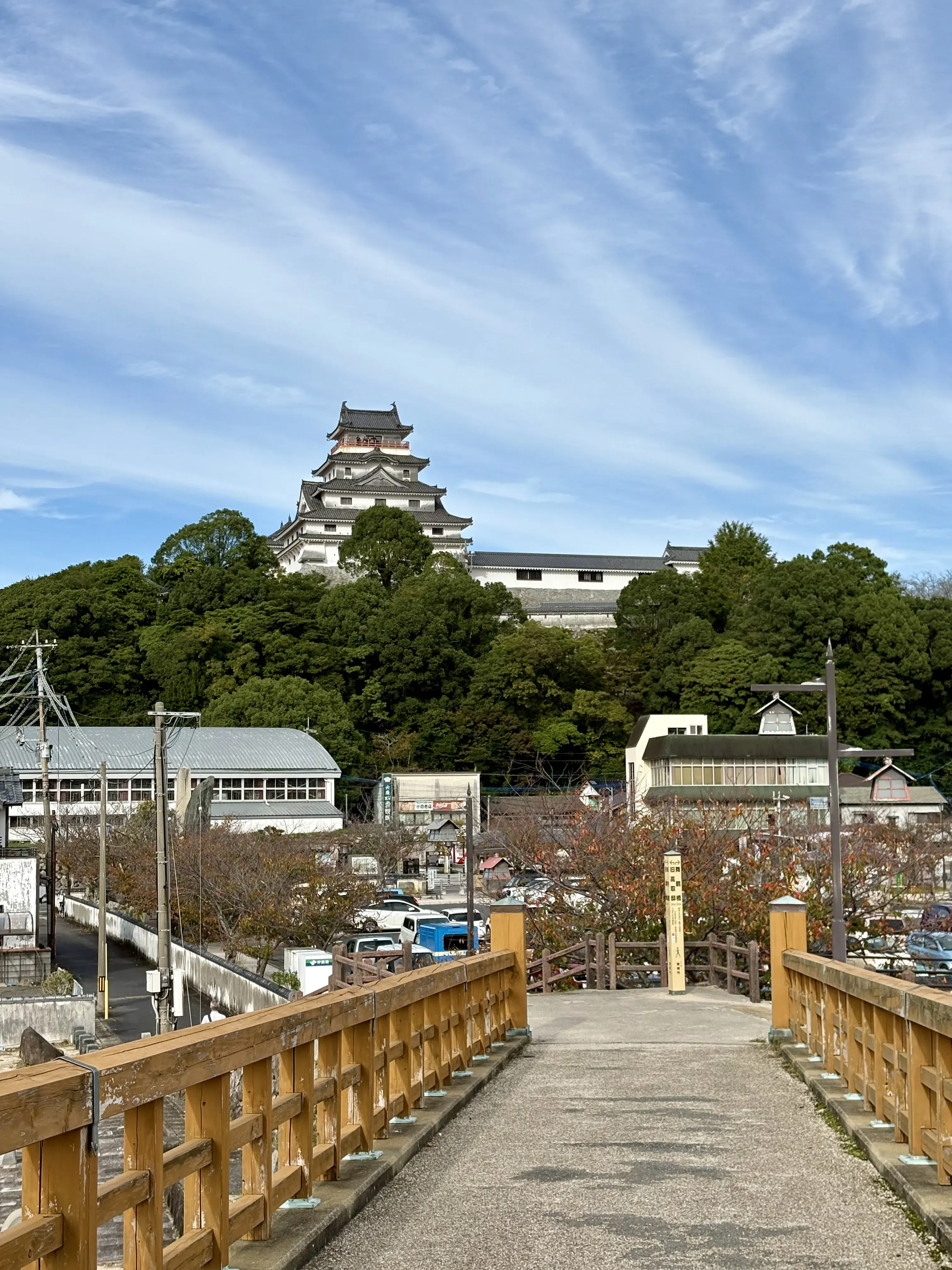 遠目から見た唐津城。海に近いが、山上にある